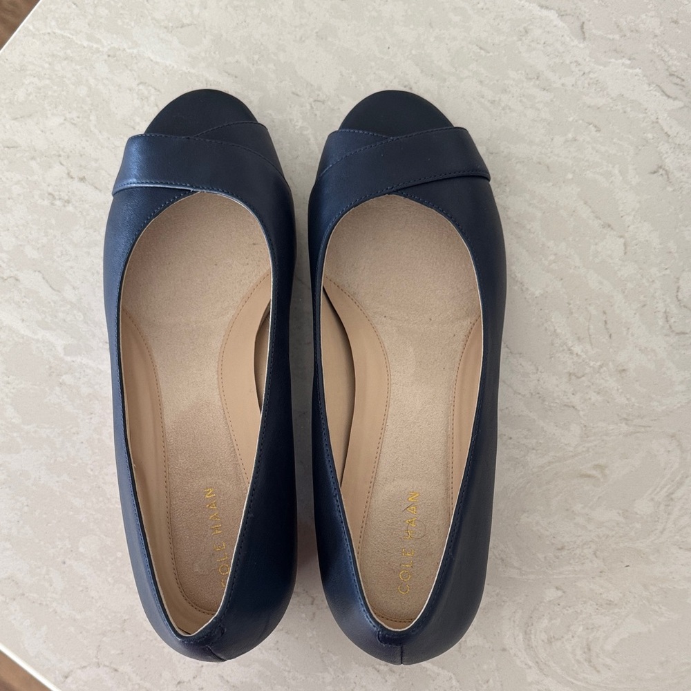 Cole Haan Women's Navy Blue Wedges